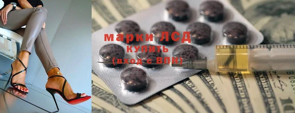 прущие грибы Балабаново