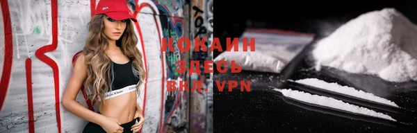 прущие грибы Осташков