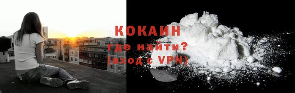 прущие грибы Балабаново
