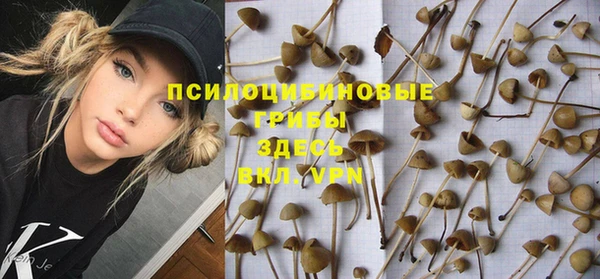 Альфа ПВП Балахна