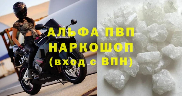 прущие грибы Балабаново