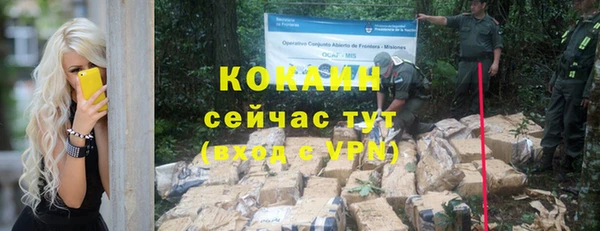 прущие грибы Балабаново
