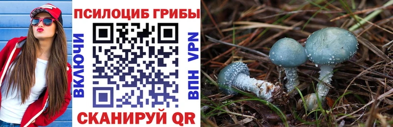 Псилоцибиновые грибы Magic Shrooms  что такое наркотик  Тихорецк 