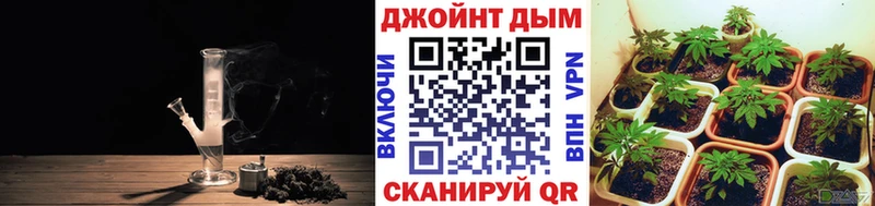 Бошки Шишки SATIVA & INDICA Тихорецк